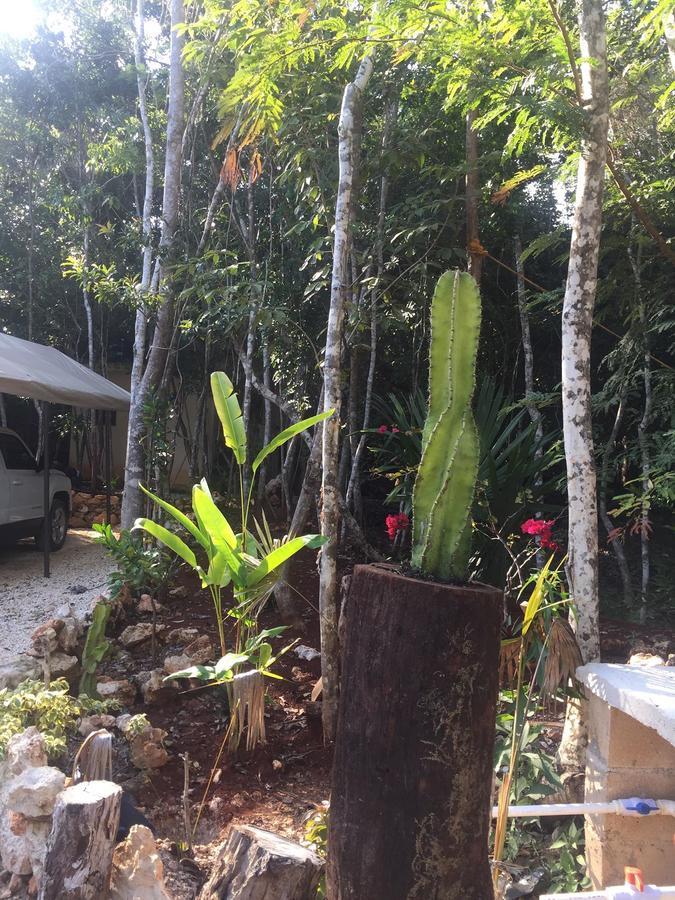Cheel Lodge & Camping Puerto Morelos Exterior photo