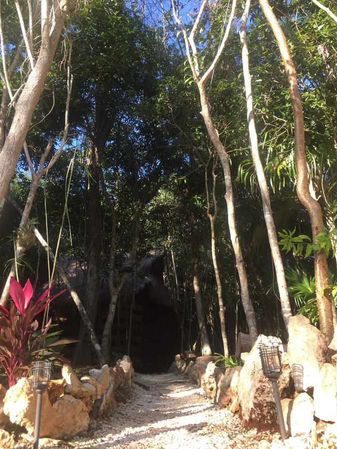Cheel Lodge & Camping Puerto Morelos Exterior photo