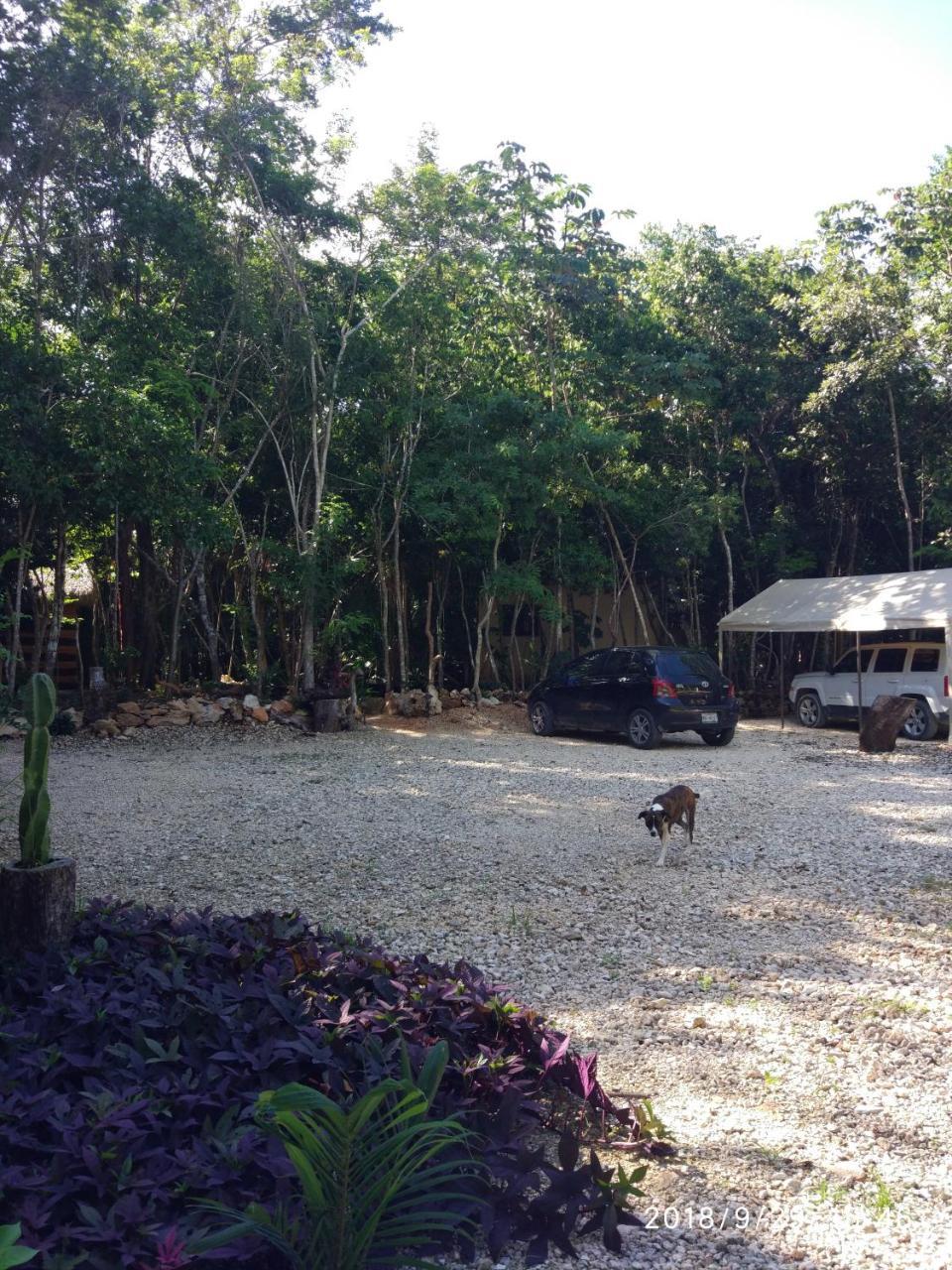 Cheel Lodge & Camping Puerto Morelos Exterior photo